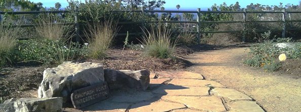 College bluff with plants and path overlooking ocean
